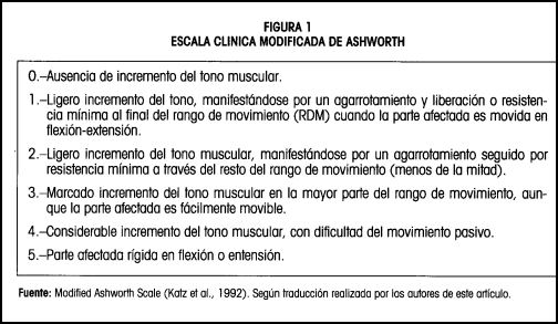 Resultado de imagen de escala brunnstrom hemiplejia