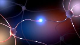 Neuropsicología